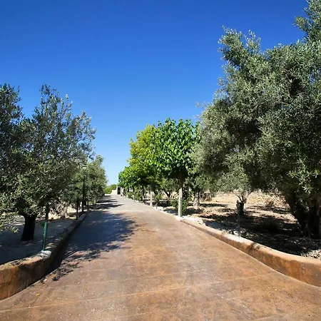 Διαμέρισμα Senia Tomaset I Onil